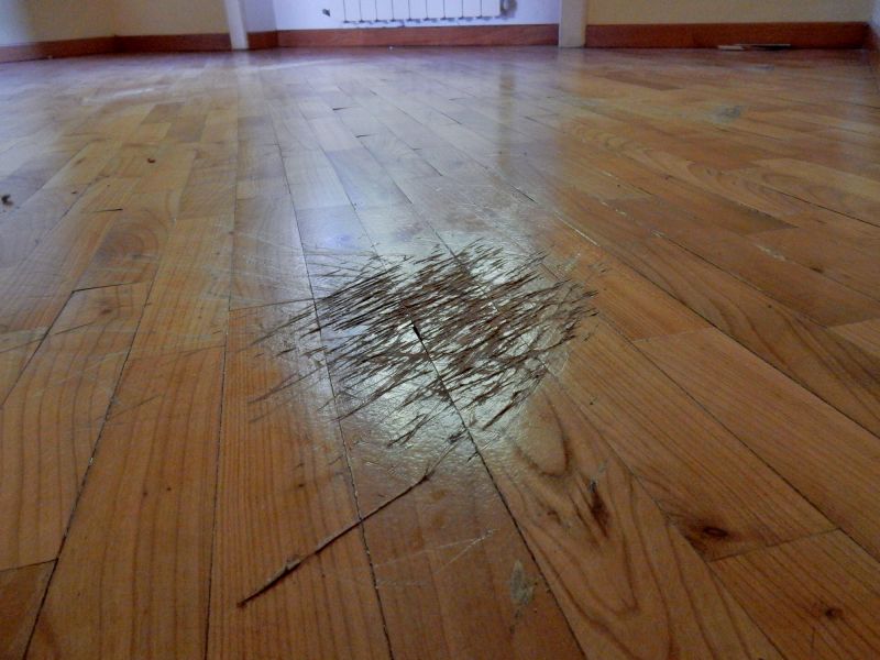 Hardwood Refinishing in Littleton, CO